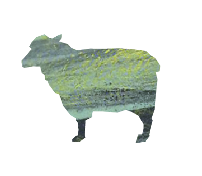 OVINO_03
