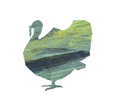 PAVO_03
